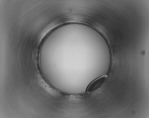 X0000112741138200909171155