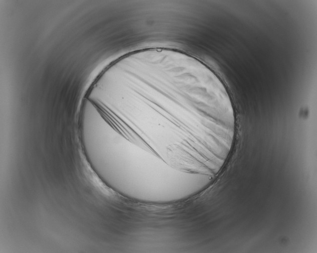 X0000112741140200909171155