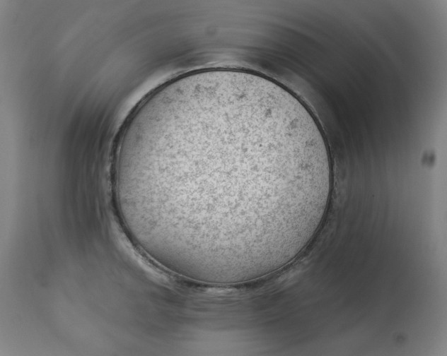 X0000112741142200909171155