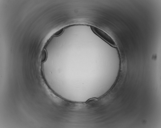 X0000112741144200909171155