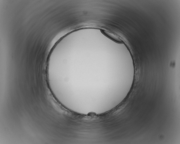 X0000112741146200909171155