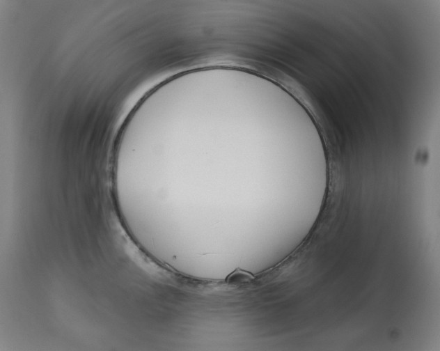 X0000112741148200909171155