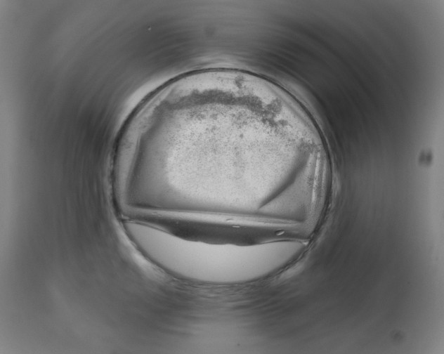 X0000112741149200909171155