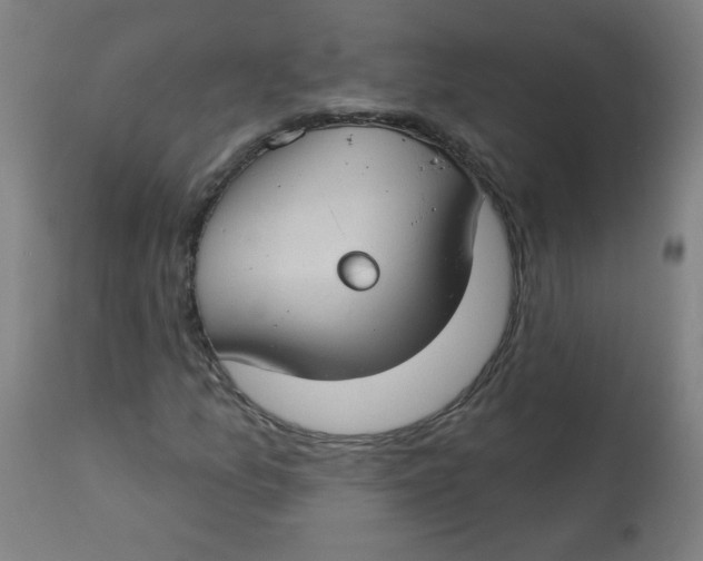 X0000112741157200909171155