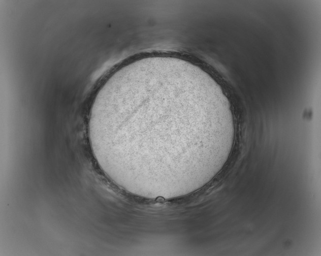 X0000112741160200909171154