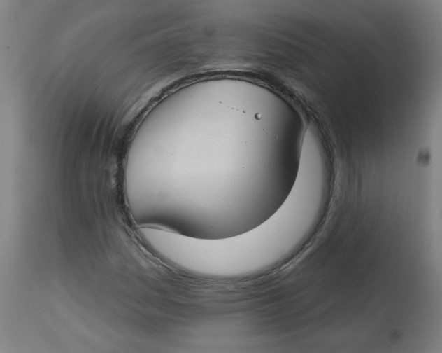 X0000112741161200909171154