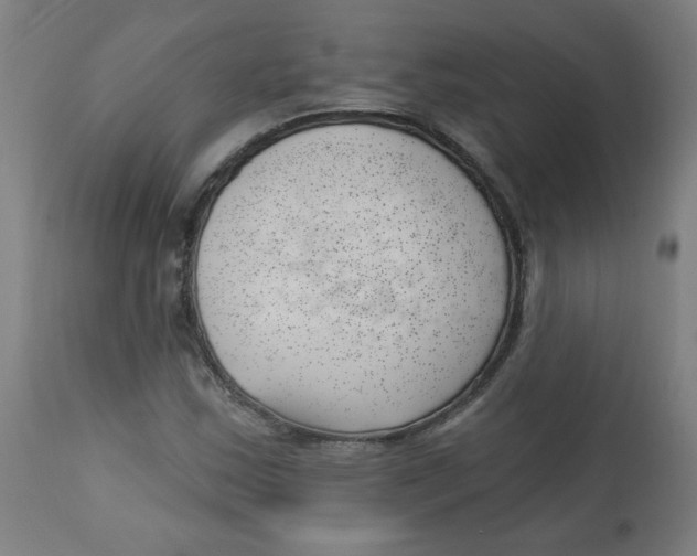 X0000112741163200909171154