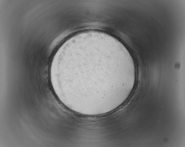 X0000112741164200909171154