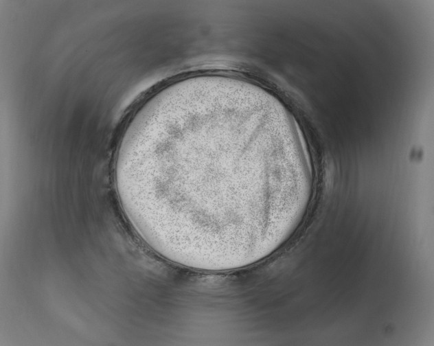 X0000112741166200909171154