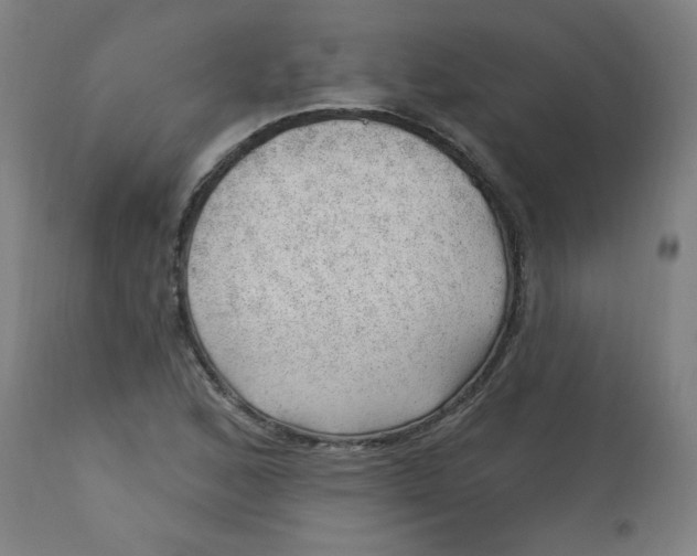 X0000112741168200909171154