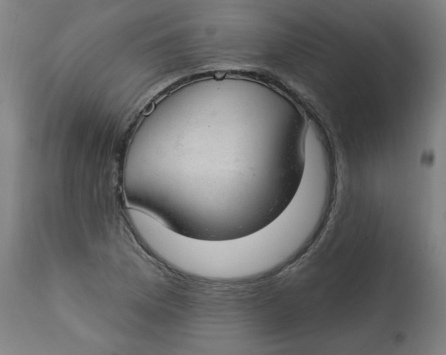 X0000112741169200909171154