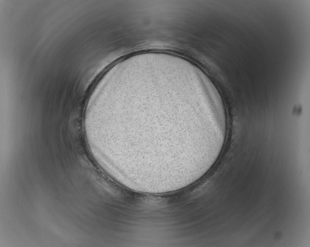 X0000112741170200909171154