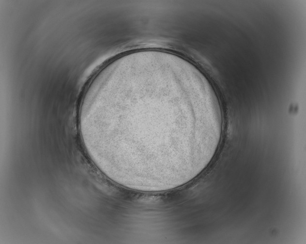 X0000112741174200909171154