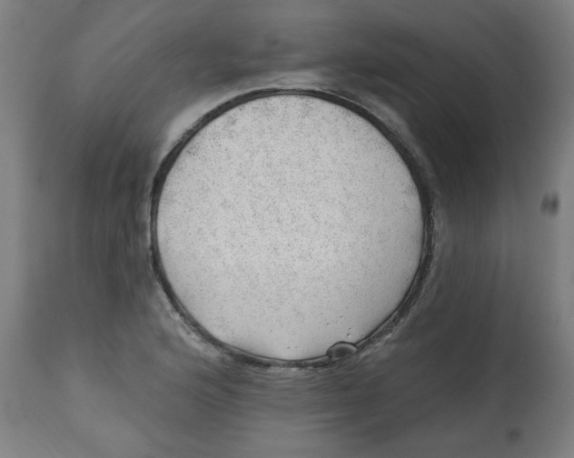 X0000112741176200909171154