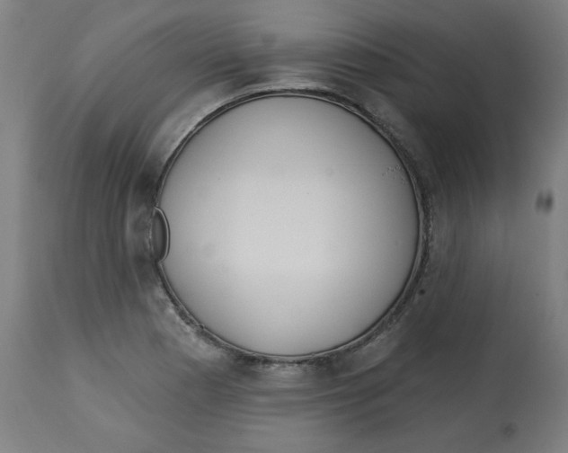 X0000112741177200909171154