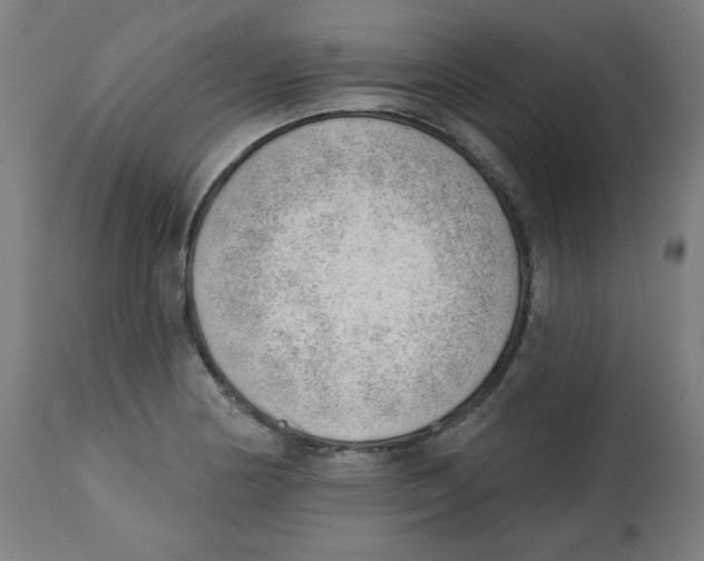 X0000112741178200909171154