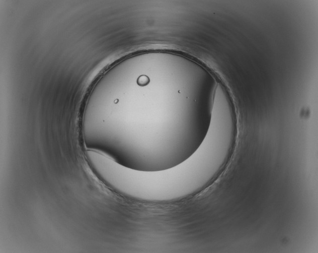 X0000112741181200909171154