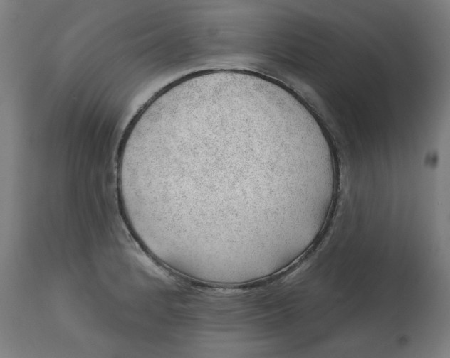 X0000112741184200909171154