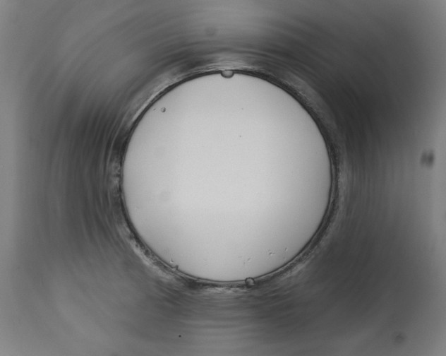 X0000112741185200909171154