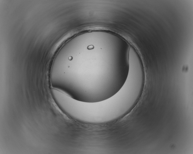 X0000112741189200909171154