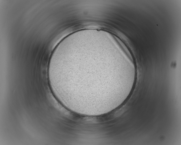 X0000112741194200909171154