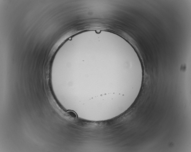 X0000112741195200909171154