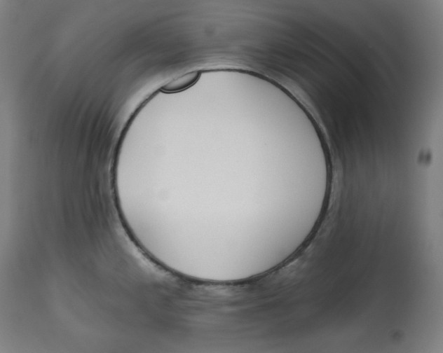 X0000112741197200909171154