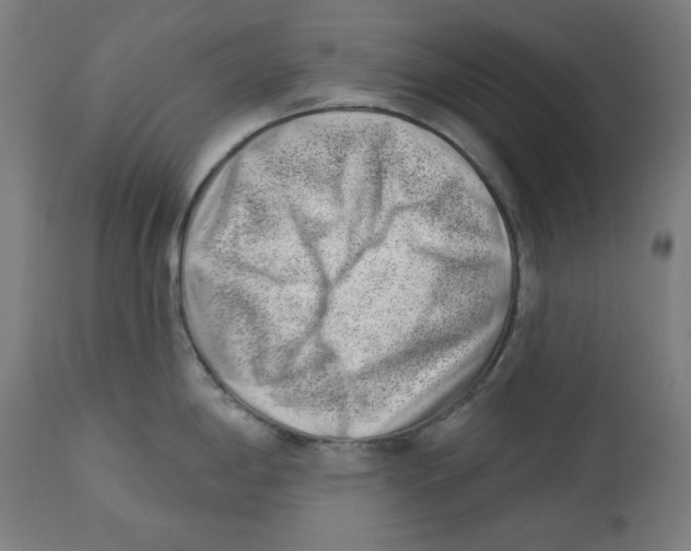 X0000112741198200909171154