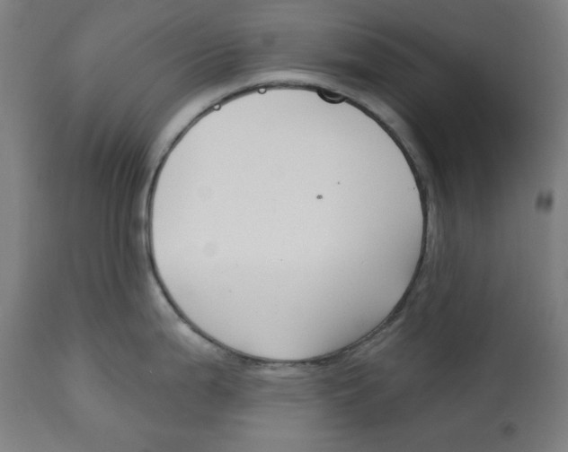 X0000112741199200909171154