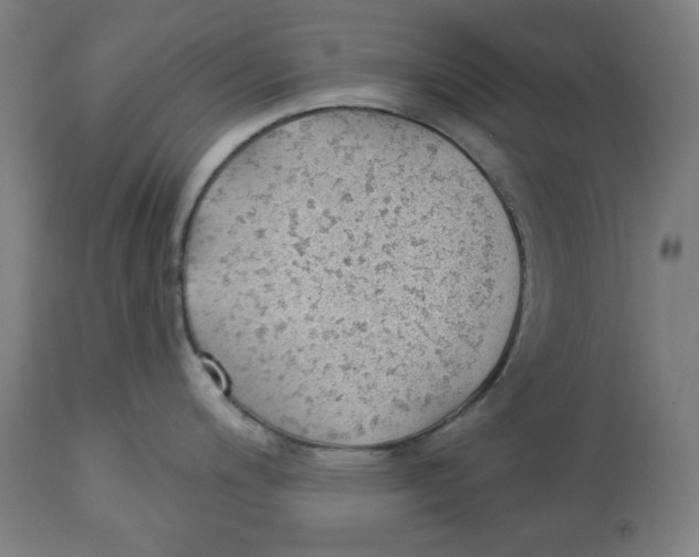 X0000112741200200909171154