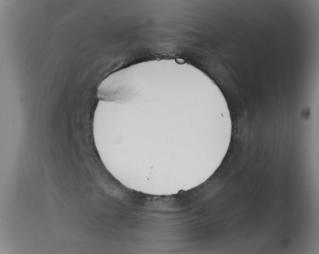 X0000112741201200909171153