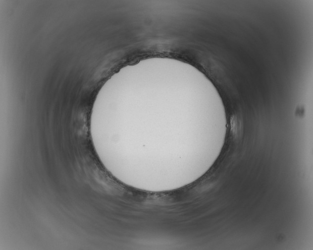 X0000112741203200909171153