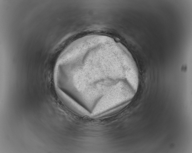 X0000112741206200909171153