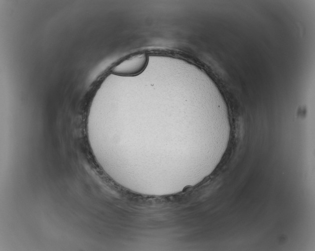 X0000112741208200909171153