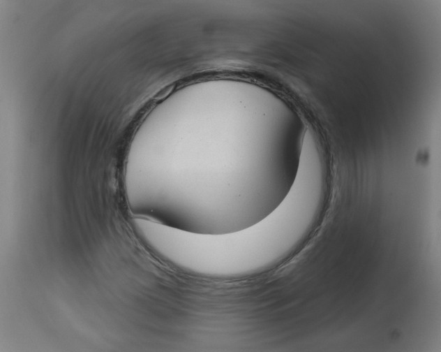 X0000112741209200909171153