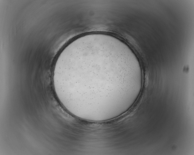 X0000112741212200909171153