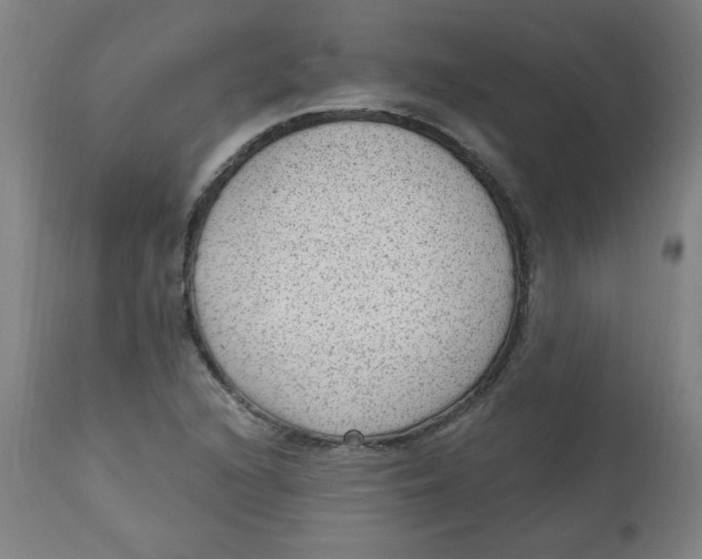 X0000112741216200909171153