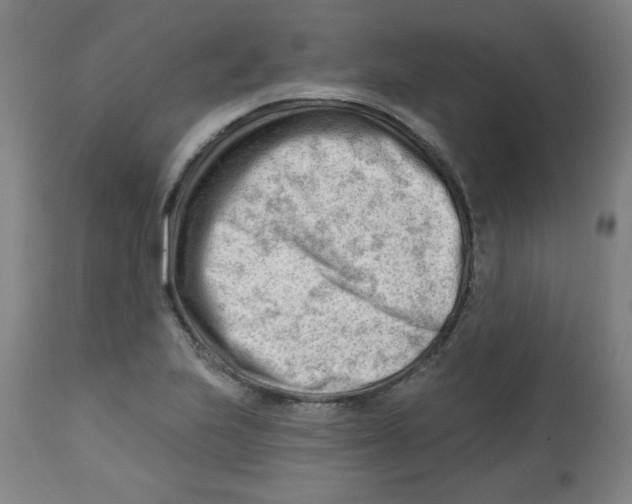 X0000112741223200909171153