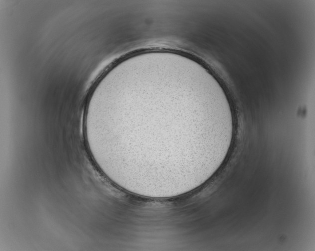 X0000112741224200909171153