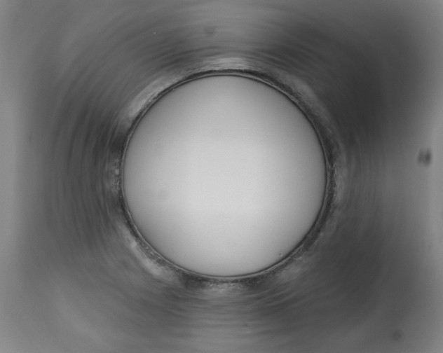 X0000112741225200909171153