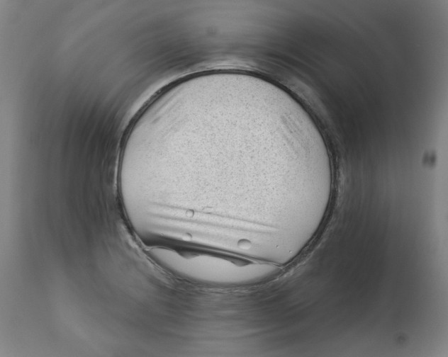 X0000112741228200909171153