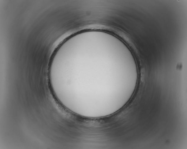 X0000112741229200909171153