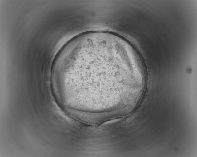 X0000112741231200909171153