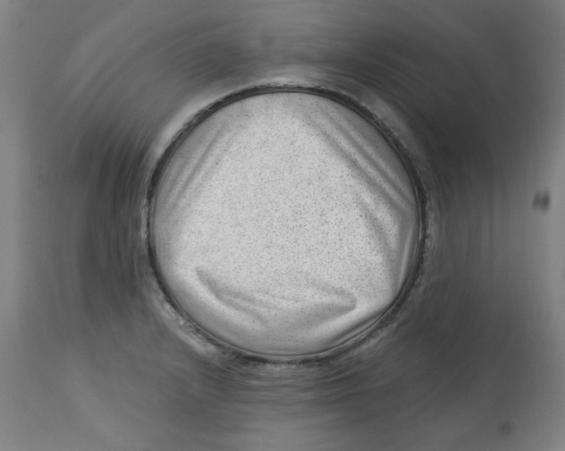 X0000112741232200909171153