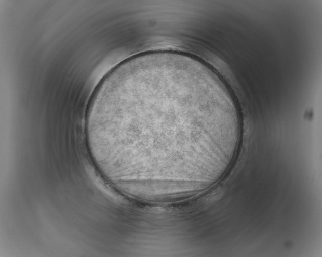 X0000112741234200909171154