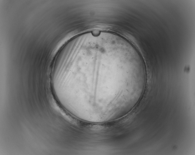 X0000112741235200909171154