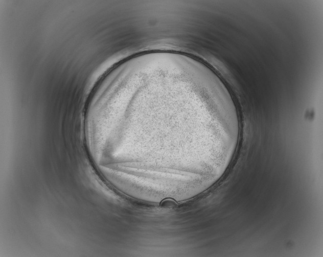 X0000112741238200909171154