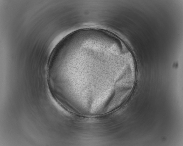 X0000112741239200909171154