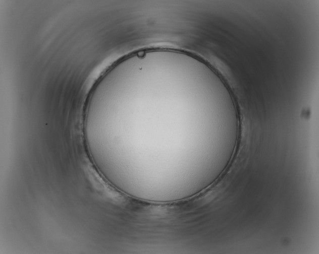 X0000112741240200909171154