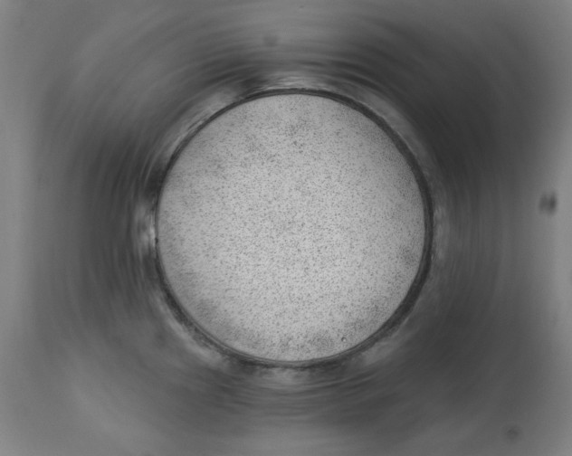 X0000112741241200909171154